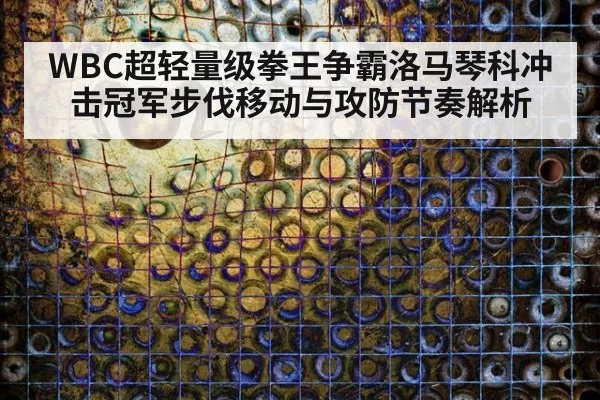 WBC超轻量级拳王争霸洛马琴科冲击冠军步伐移动与攻防节奏解析
